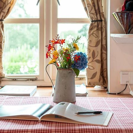 Traditional Stone Cottage With Sea Views In Snowdonia National Park Brynkir Ngoại thất bức ảnh
